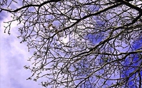 Ψ���簲�İ���ȫ�����x110�䣩