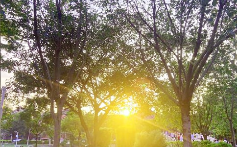 [��Ʒ]�簲����һ��Ԓ