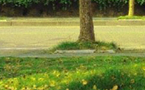 �P(gu��n)�ھ����簲һ��Ԓ