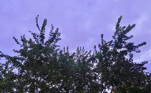 簡(jiǎn)短唯美早安文案(精選200句)