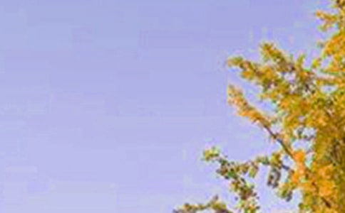 �簲��(l��)־һ��Ԓ