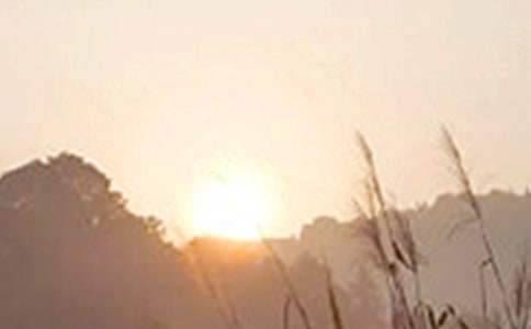 �簲���һ��Ԓ���ö���