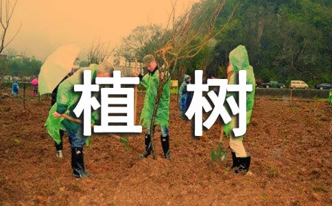 ���꼉ֲ��Ŀ��D��Ԓ