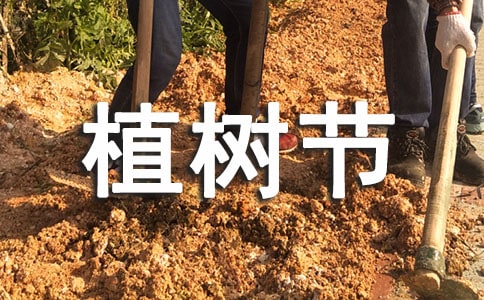 �׃��@С��ֲ�九(ji��)���Z�����x75�䣩