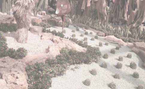 ֲ��@С�W(xu��)����ӛ