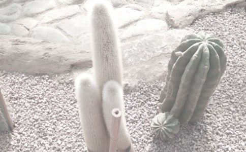 ���ɺ�ֲ��@