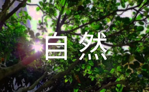 �茑(xi��)����Ȼ��Ԋ(sh��)��ȫ