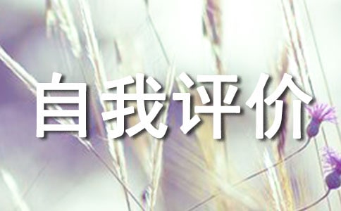 自我評價小結(jié)(精選11篇)