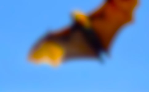 ������(zh��n)���ģ����x6ƪ��