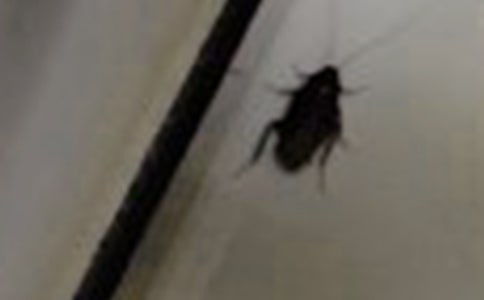 ���(zh��n)������ă�(y��u)�㡾3ƪ��